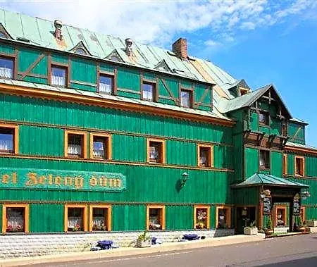 Hotel Zeleny Dum 3*