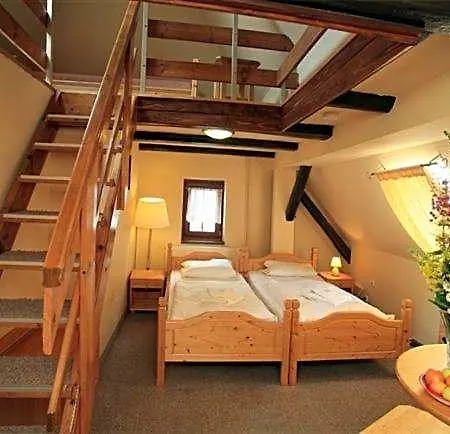 Hotel Zeleny Dum 3*